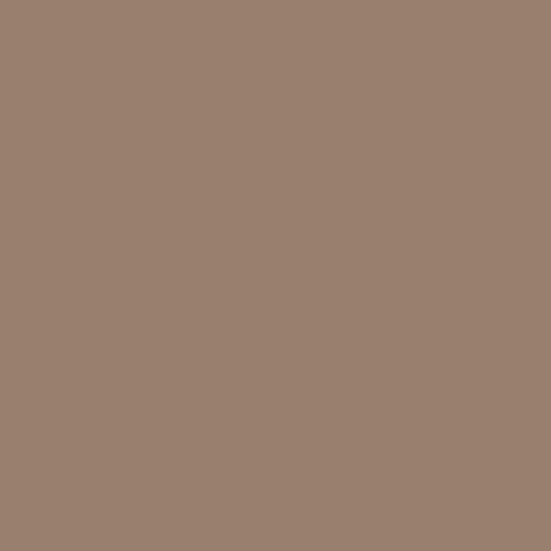 RAL 8024 (GT) Polyester Pigment - Beige Brown