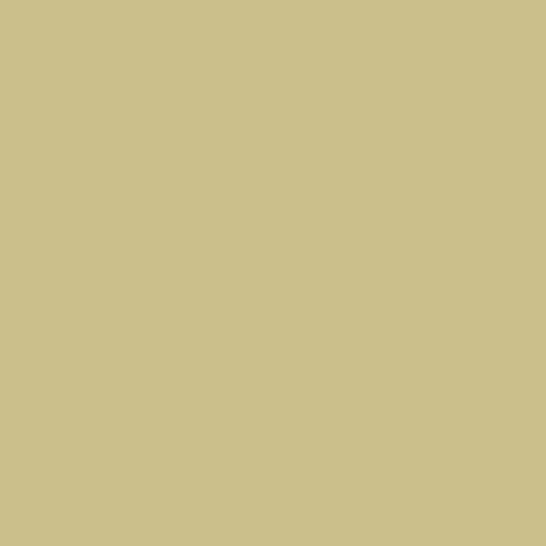 RAL 1000 Polyester Pigment - Green Beige