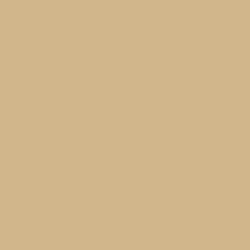 RAL 1001 (GT) Polyester Pigment - Beige