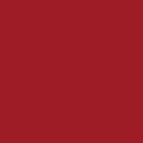 RAL 3001 Polyester Pigment - Signal Red