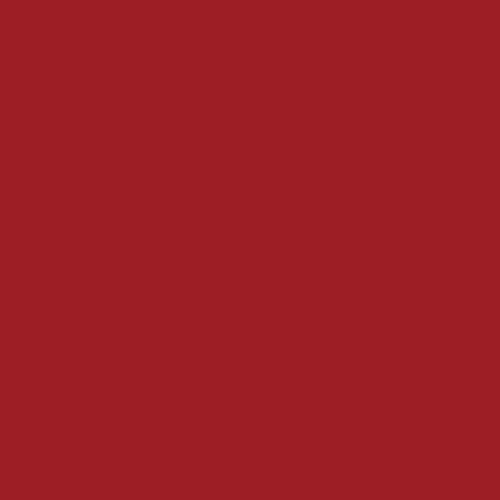 RAL 3002 (GT) Polyester Pigment - Carmine Red