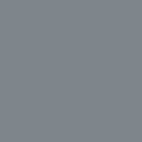 RAL 7046 (GT) Polyester Pigment - Tele Grey 2
